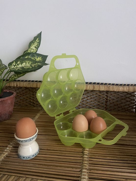 Boite à œufs en plastique verte