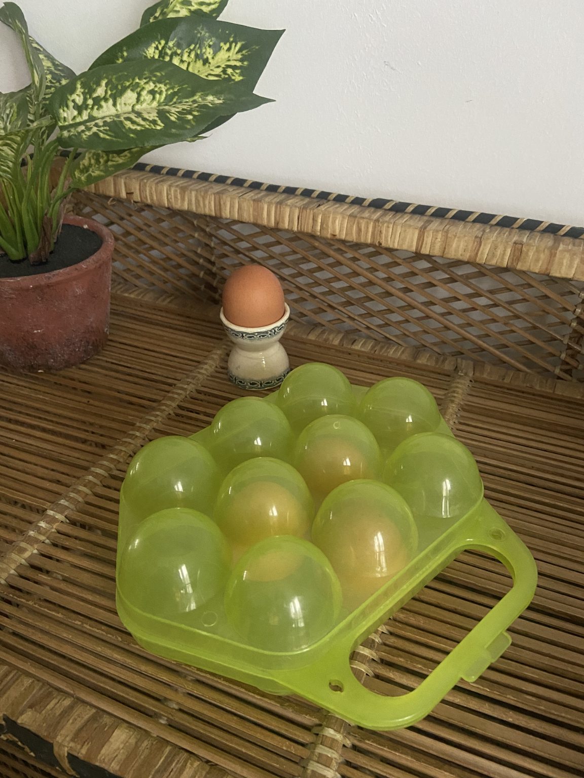 Boîte à œufs Réutilisable Koziol Eggs To Go - Plastique Thermoplastique Bleu - Capacité 10 œufs - 27,7x11,8x7,3 Cm