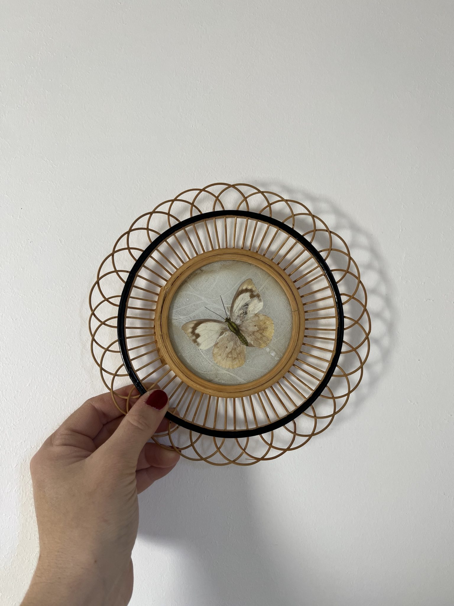 Vintage plateau et 6 sous verres rotin et papillons véritables - Arts de la table